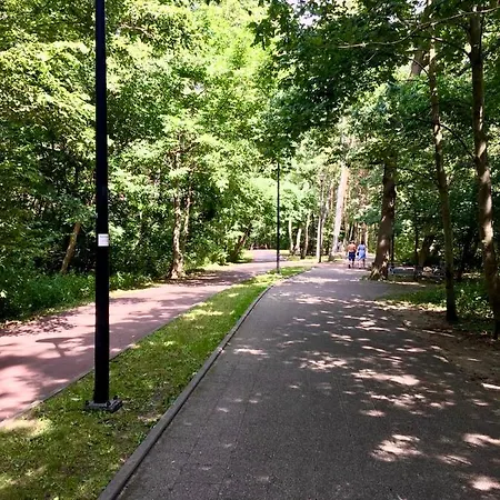 Kamien I Morze * Gdańsk